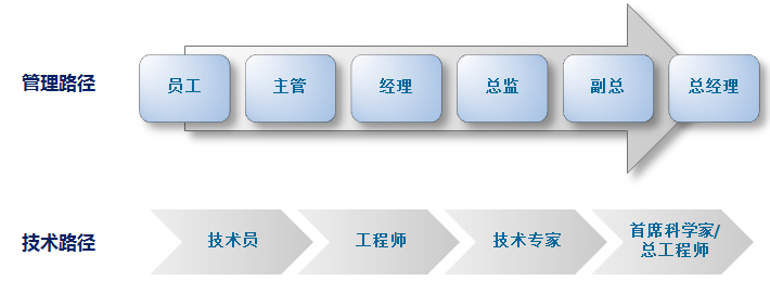 人(rén)才發展.jpg